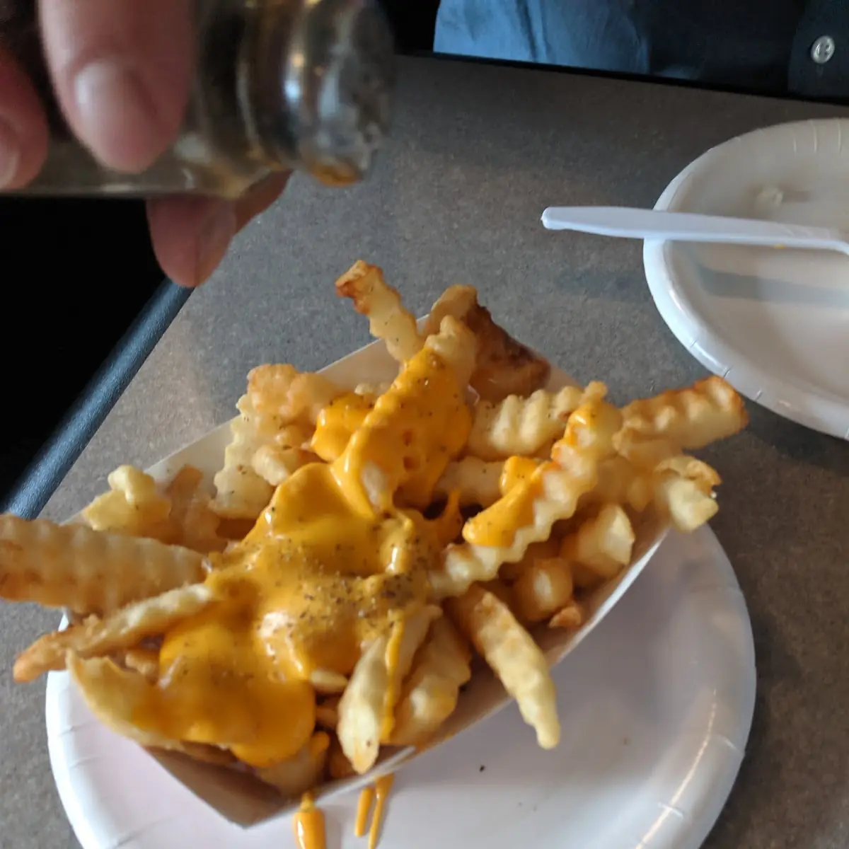 Cheese Fries