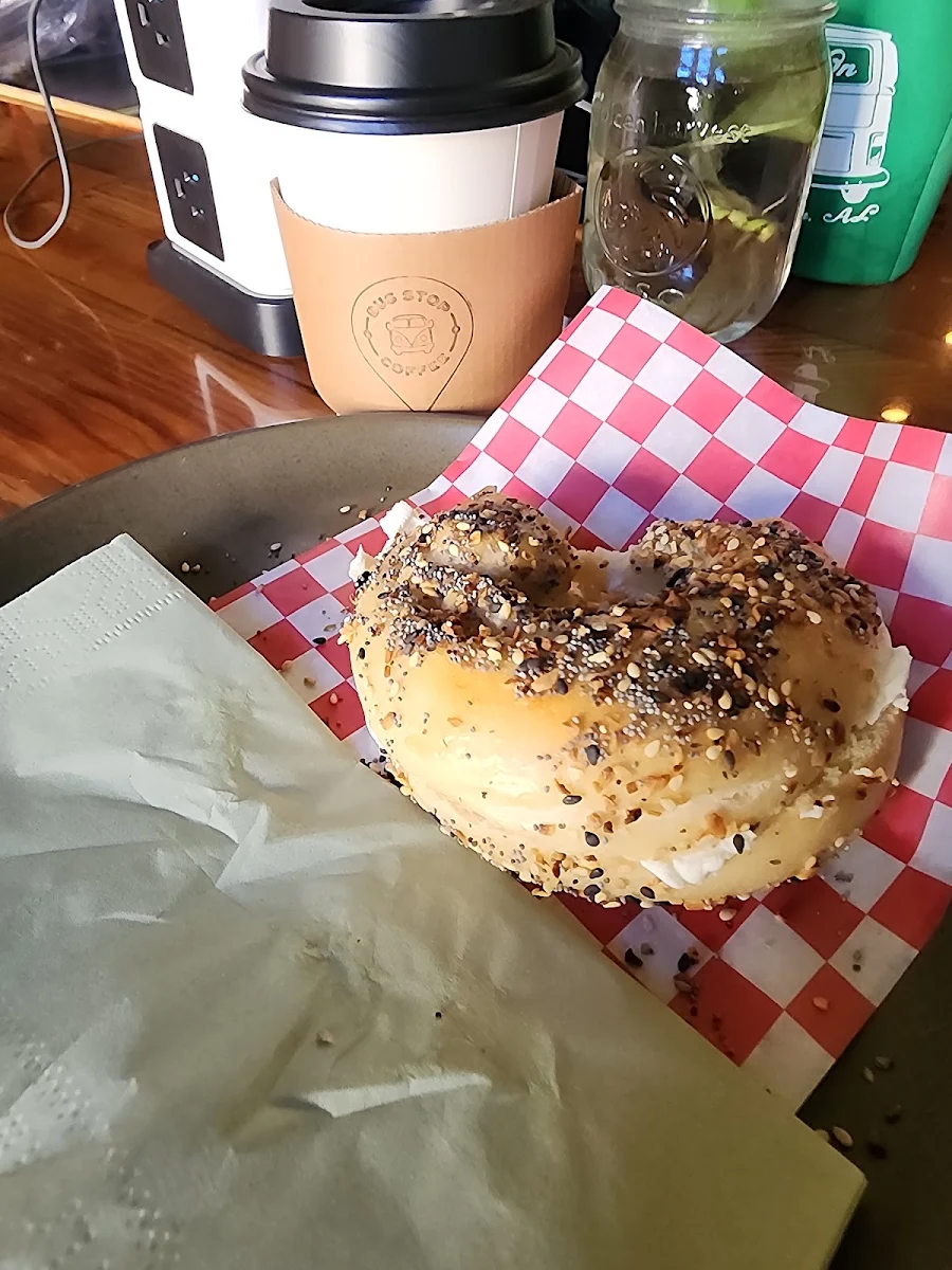 Plain Blueberry or Everything Bagel