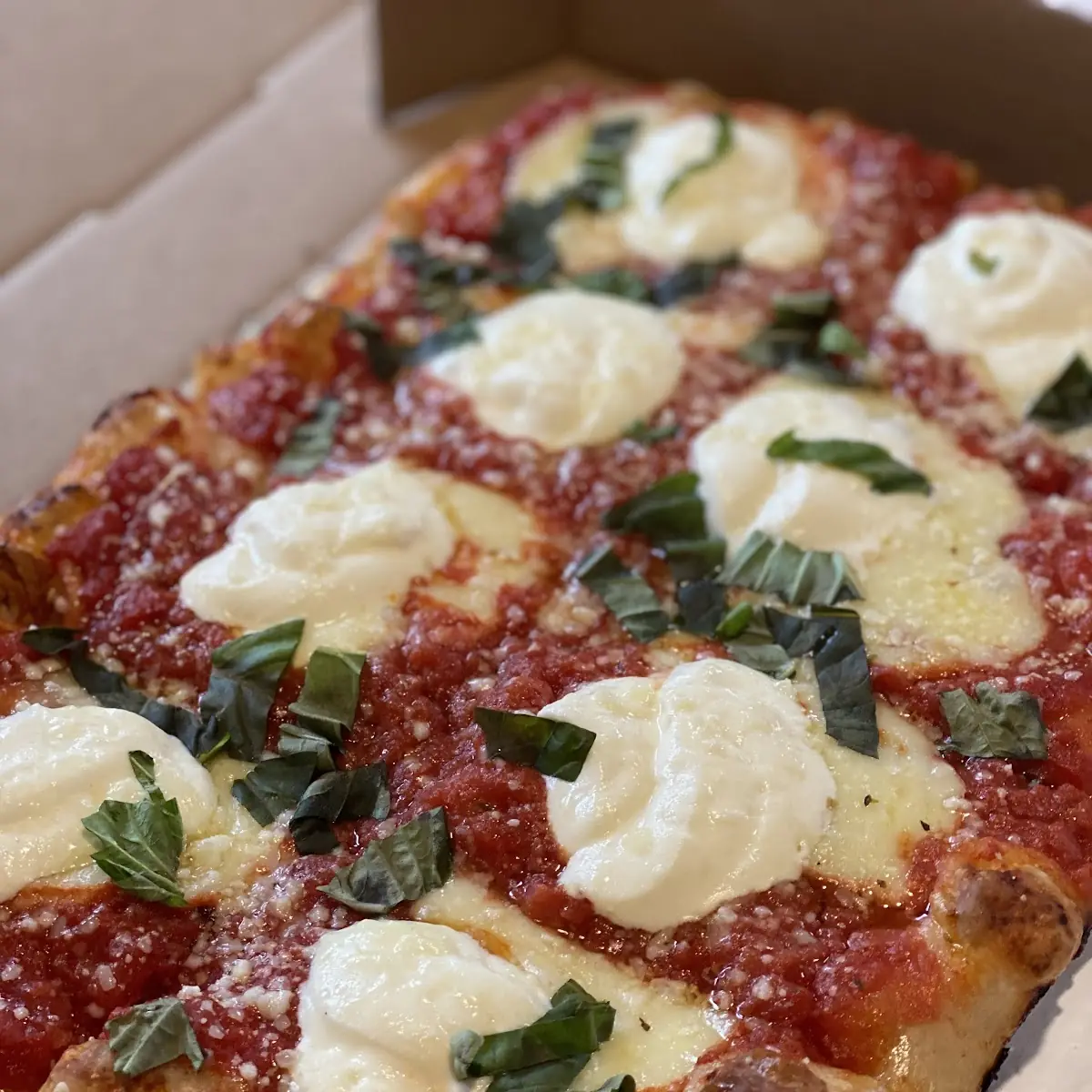 Ricotta Pizza Margherita