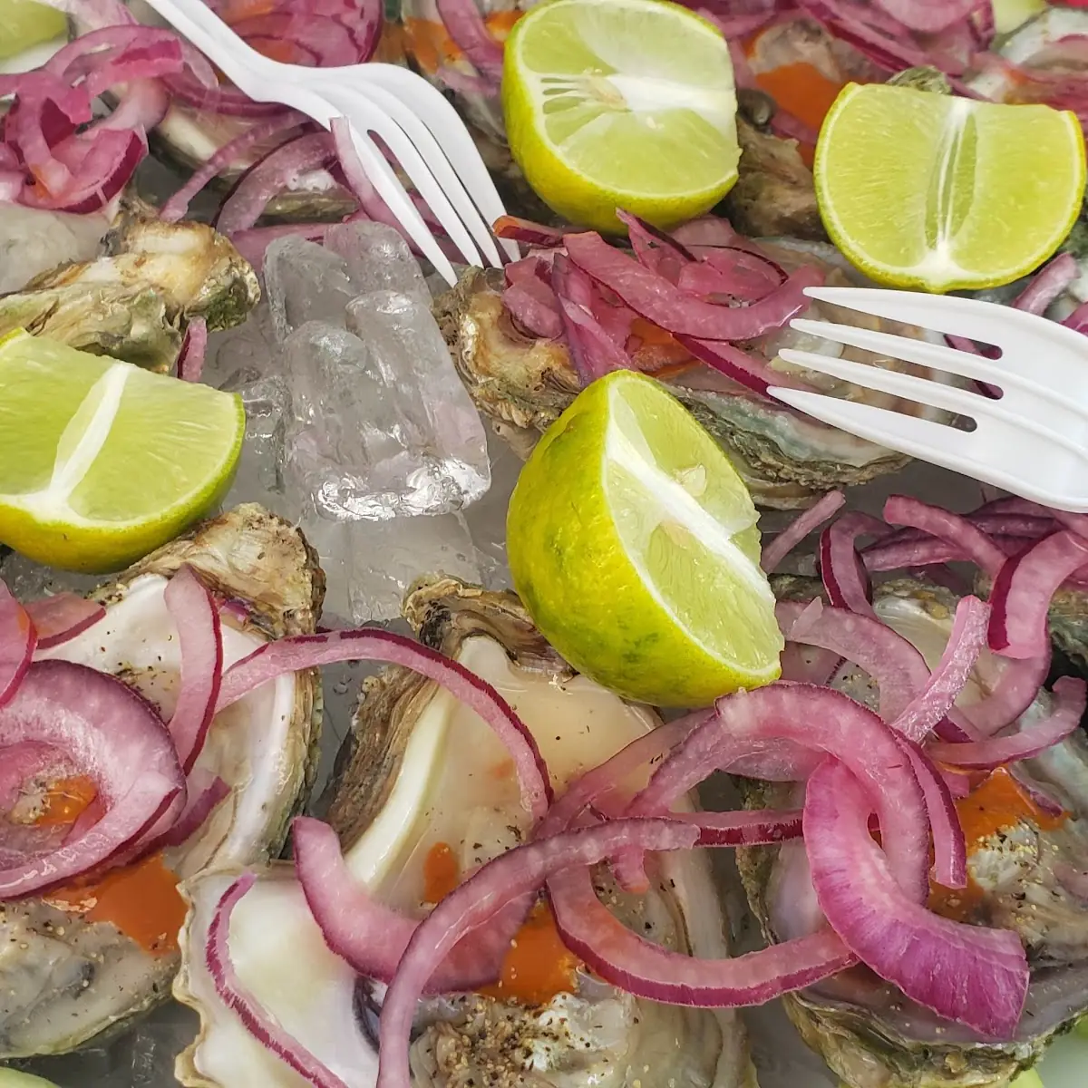 Oysters on the Half Shell