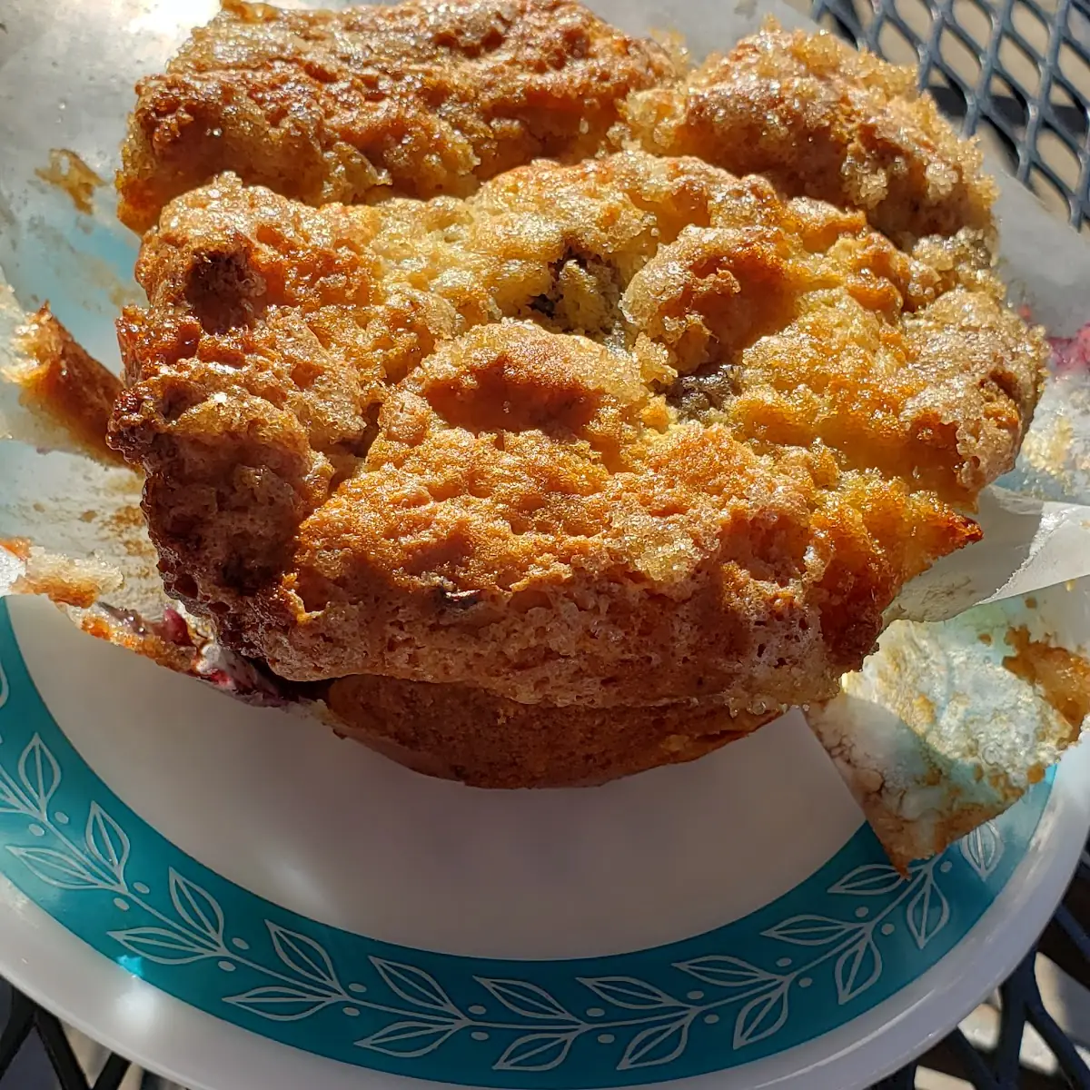 Blueberry Muffin