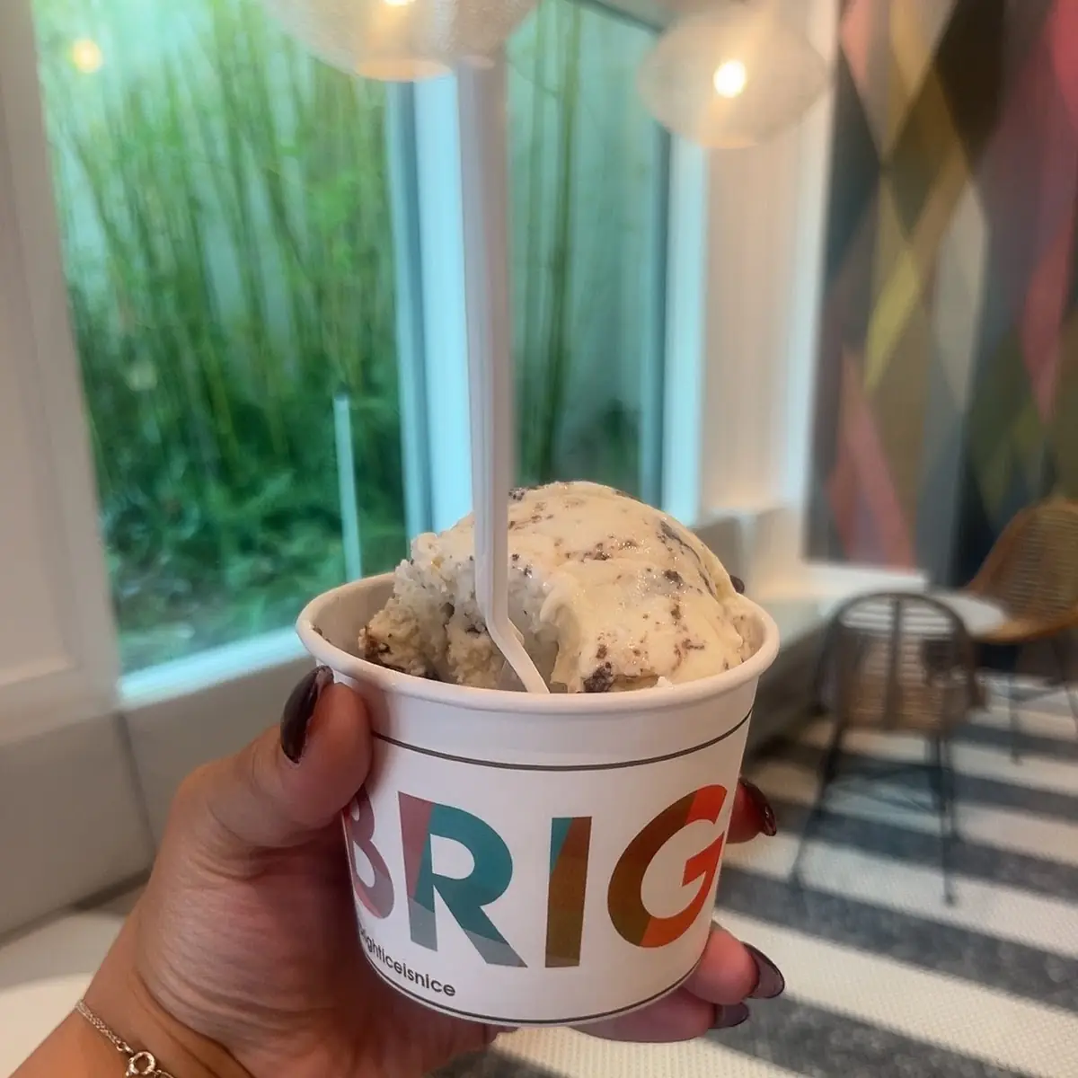 Non Dairy Ice Cream