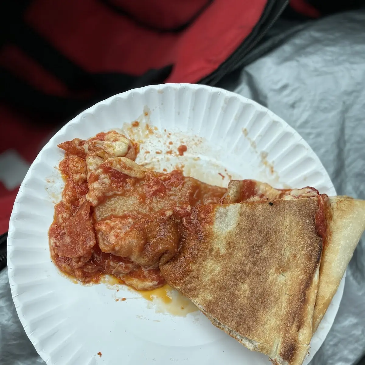 Old Pizza Slices