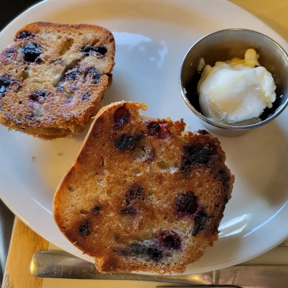 Blueberry Muffin