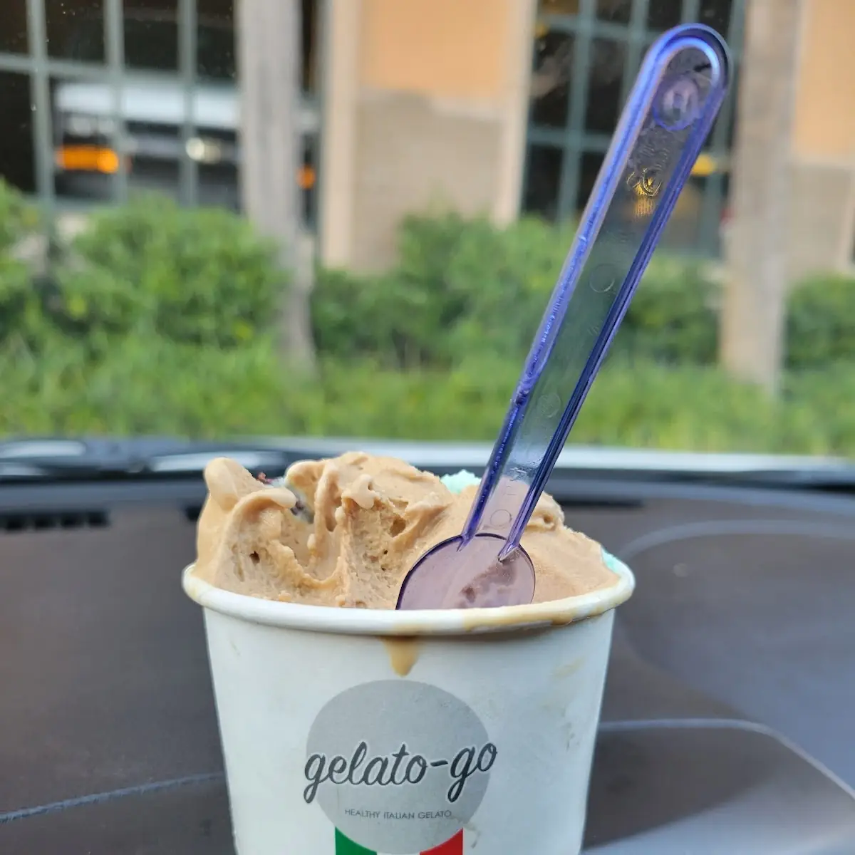 Gelato Sugar Free