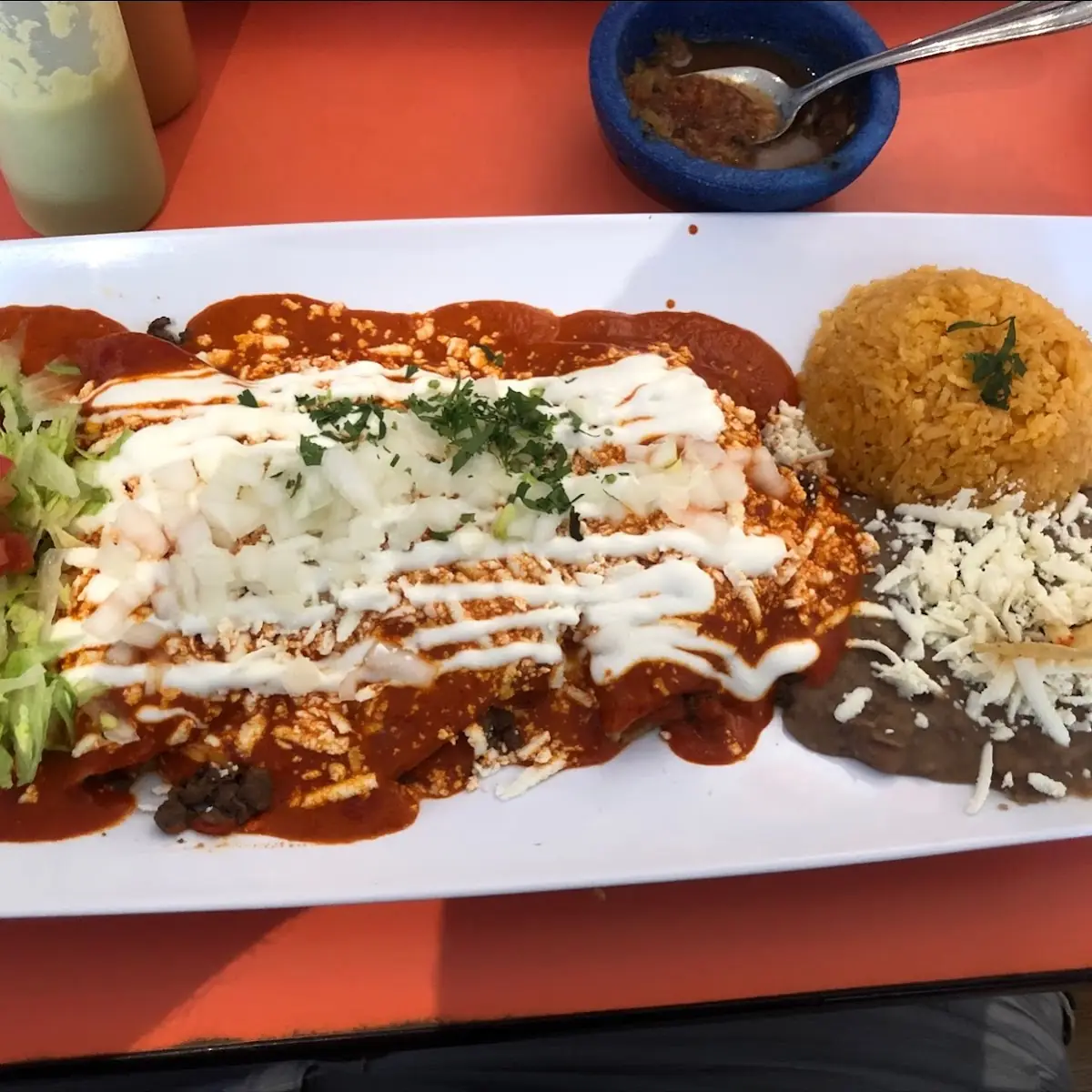 Enchiladas de Pollo Chicken Enchiladas
