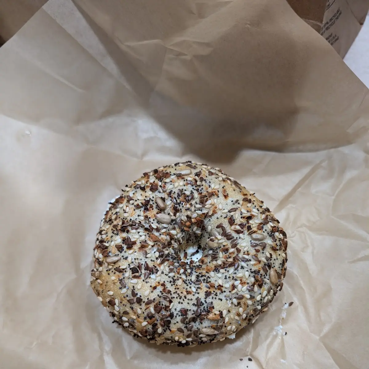 Sourdough Everything Bagel