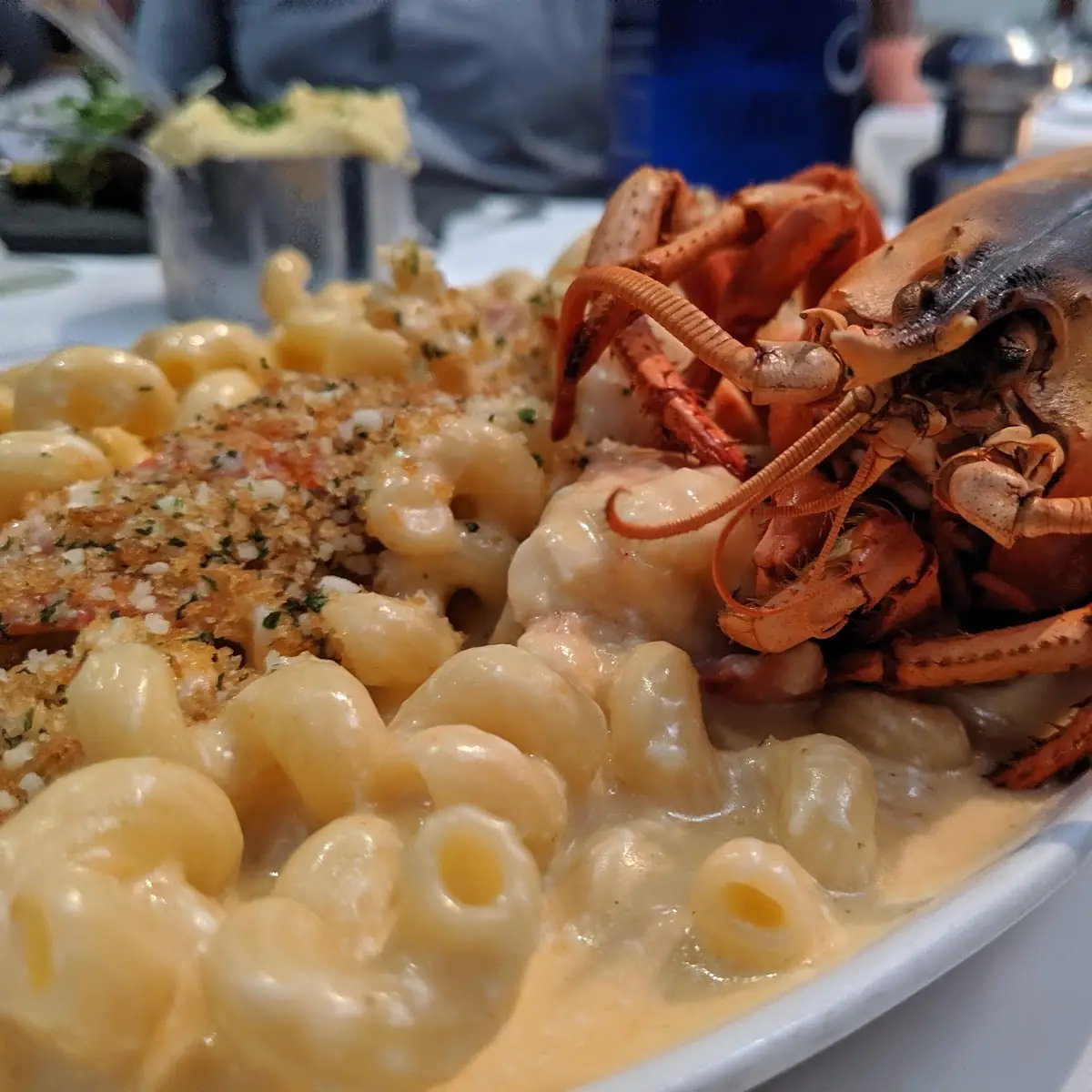 Lobster Mac N Cheese