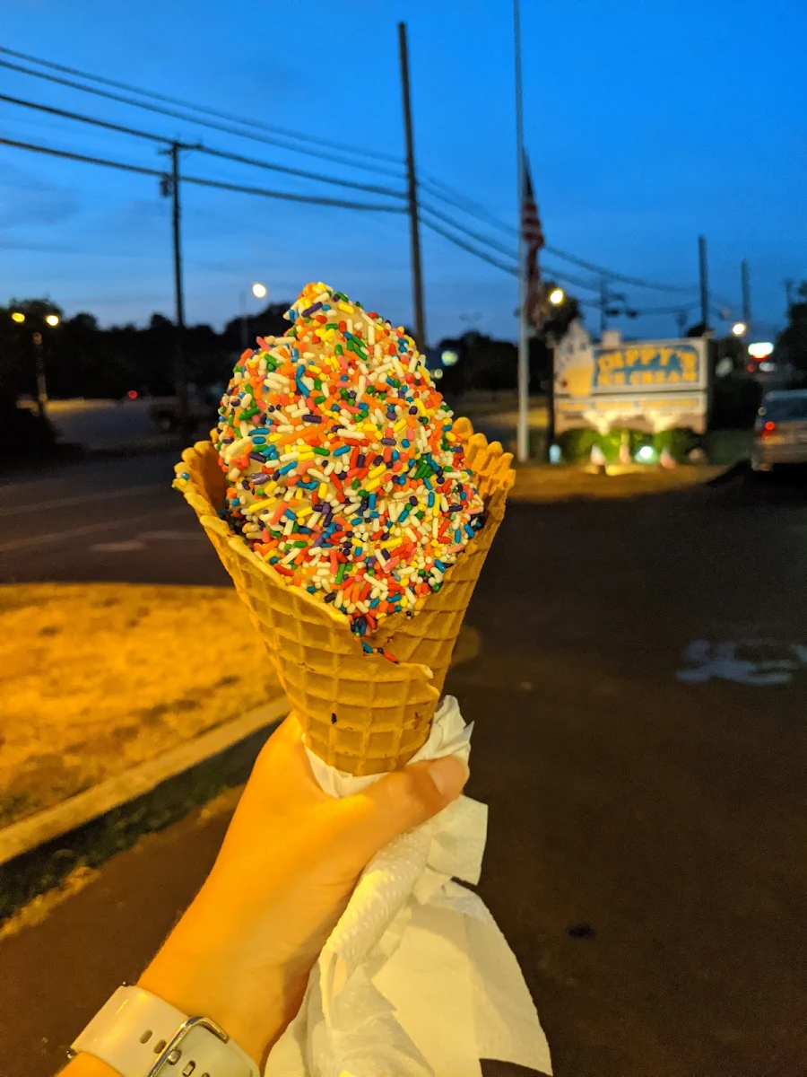 Chocolate Soft Serve with Rainbow Sprinkles