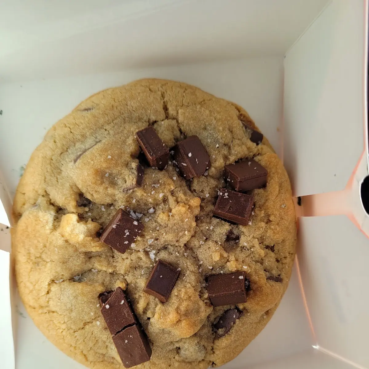 Chocolate Chip Cookie