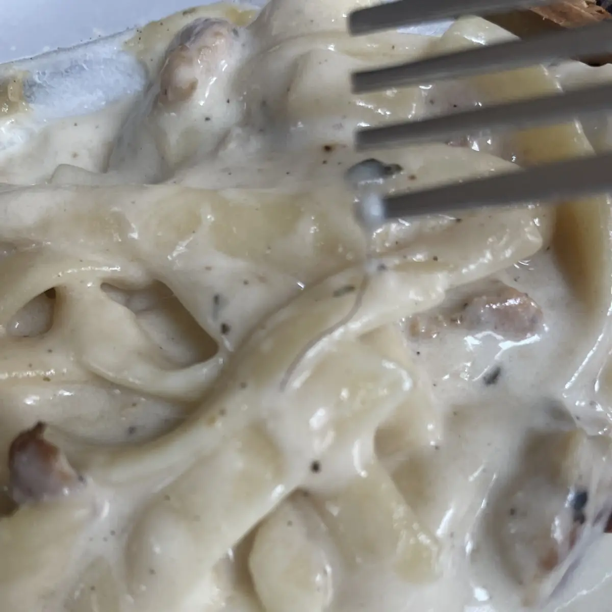 Chicken Alfredo Pasta