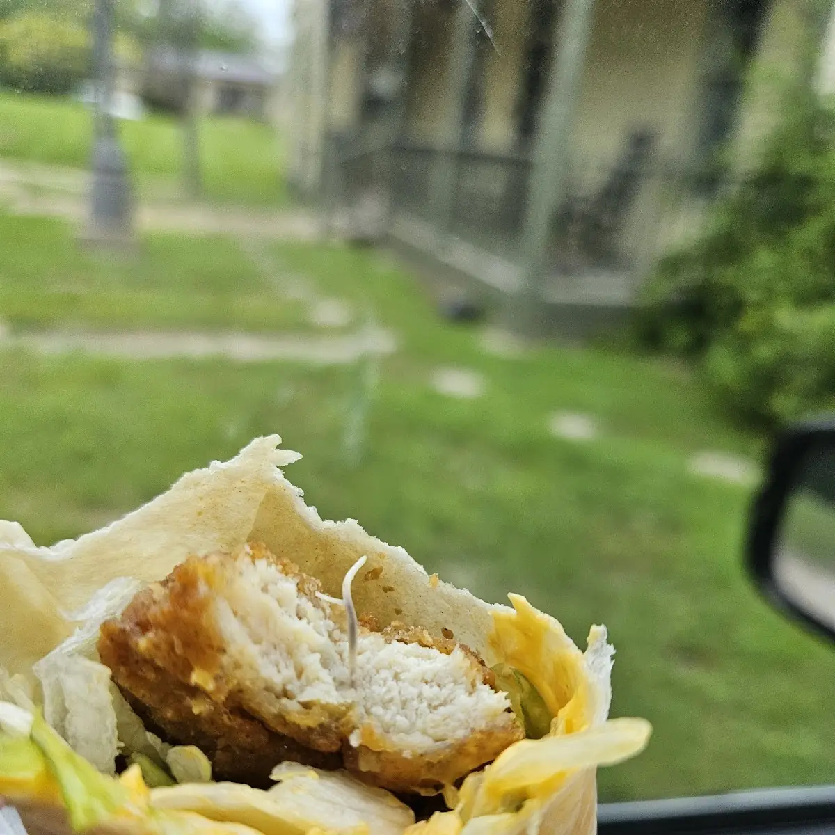 Chicken Wrap