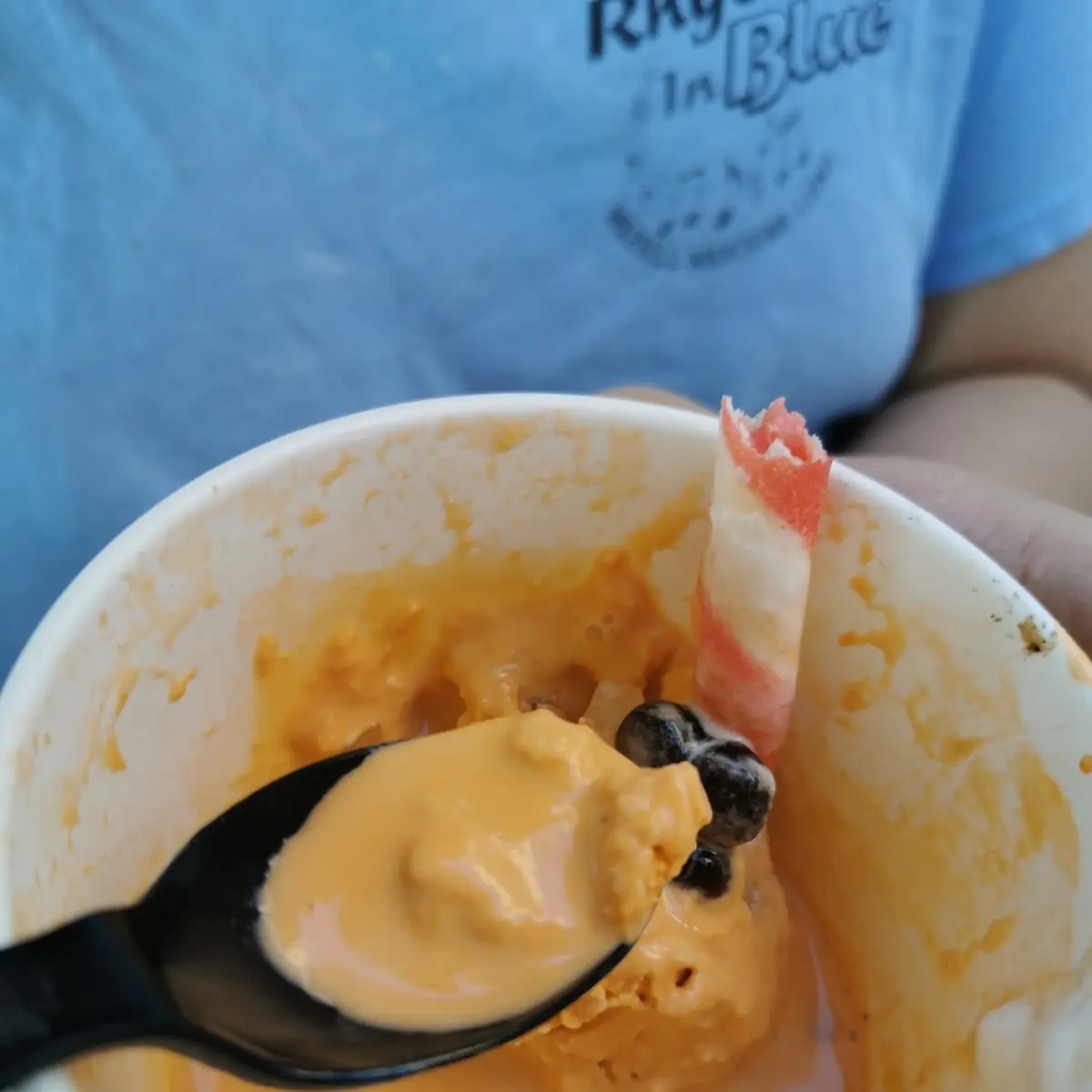 Bang Bang Rolled Ice Cream