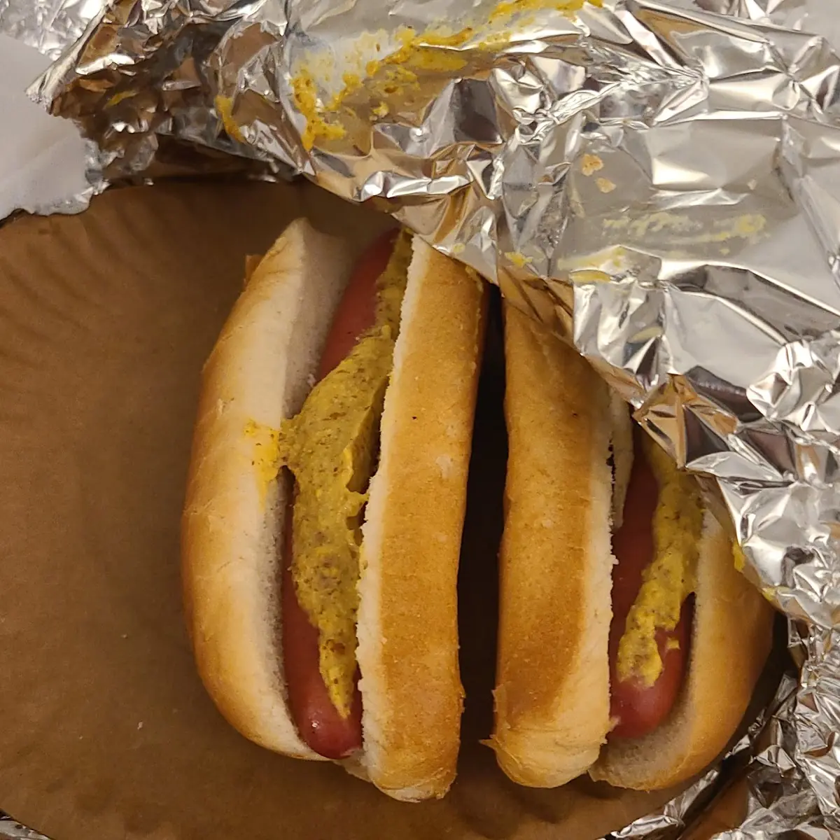 Plain Hot Dog