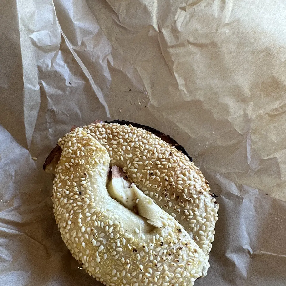 Sesame Bagel