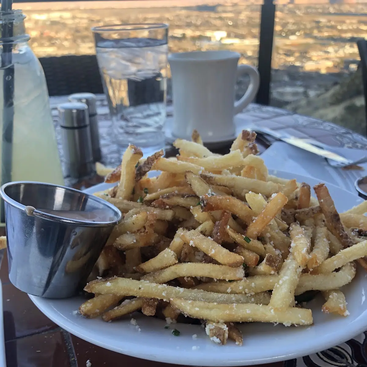 Parmesan Fries with Dipping Sauce
