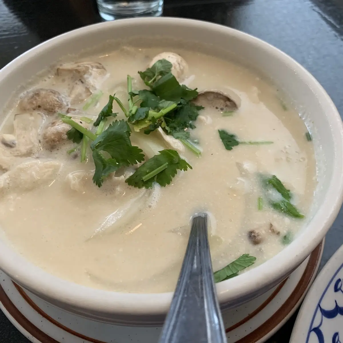 Tom Kha Coconut Milk Soup