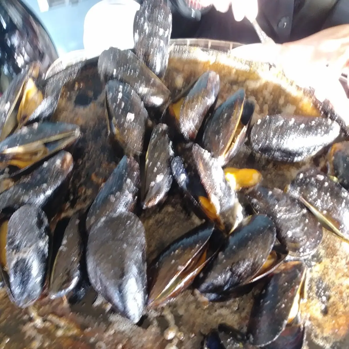 Cast Iron Mussels