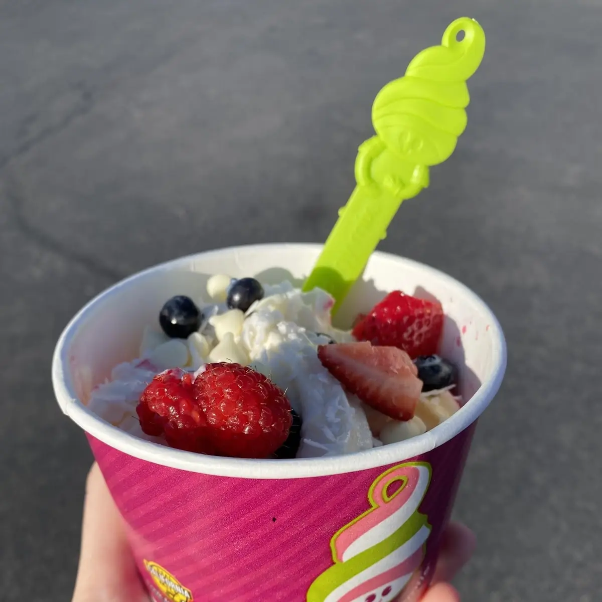 Frozen Yogurt