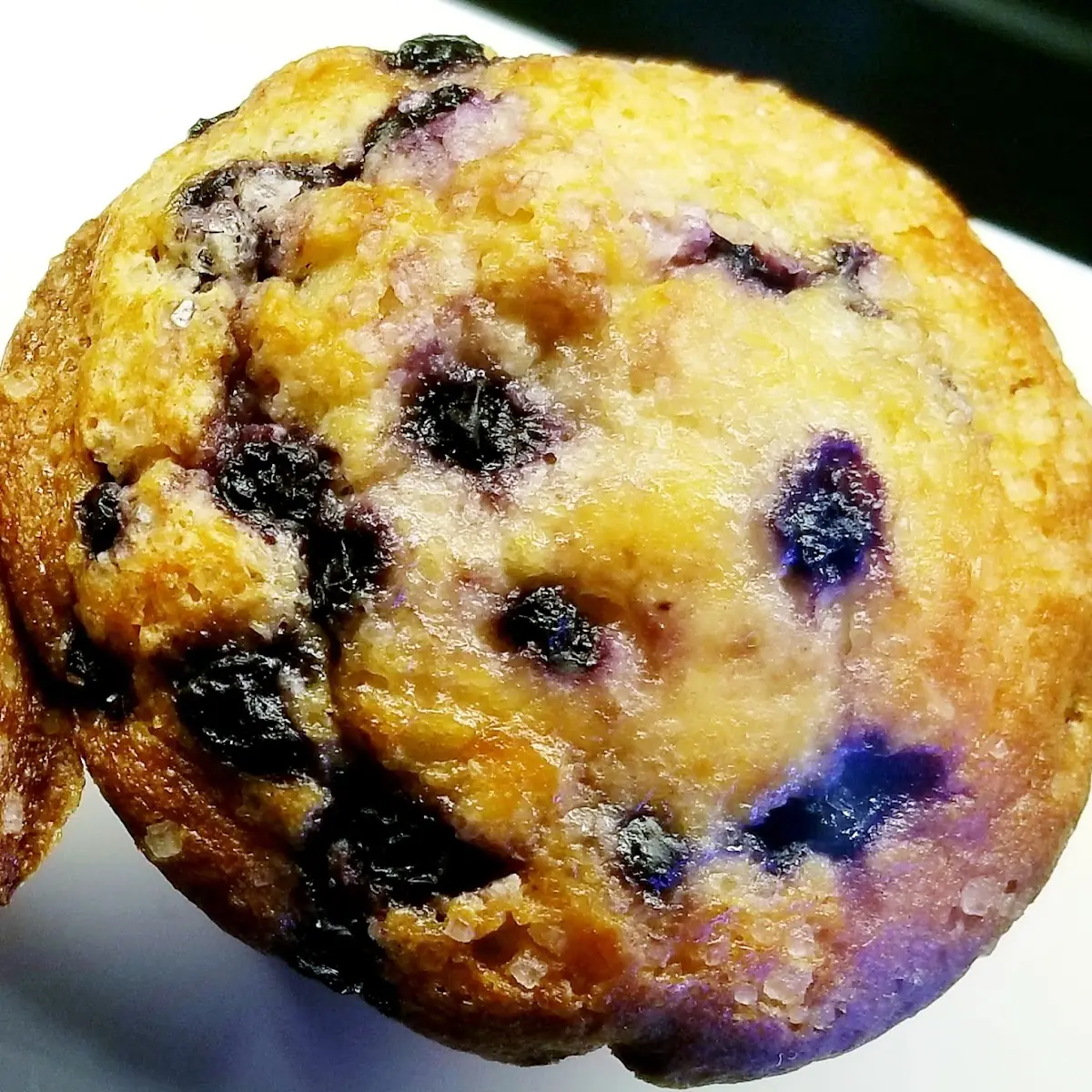 Blueberry Muffin