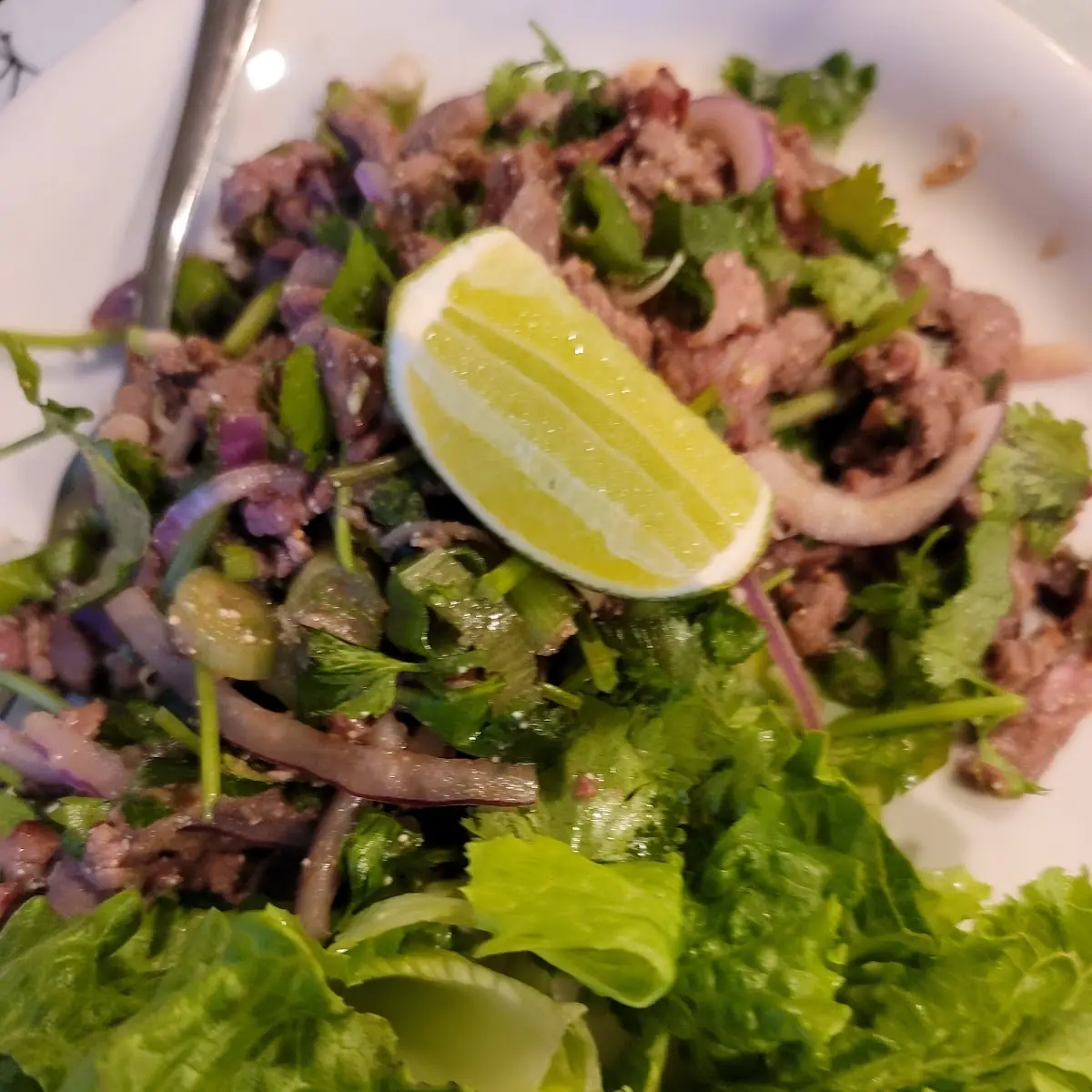 Sliced Beef Laab