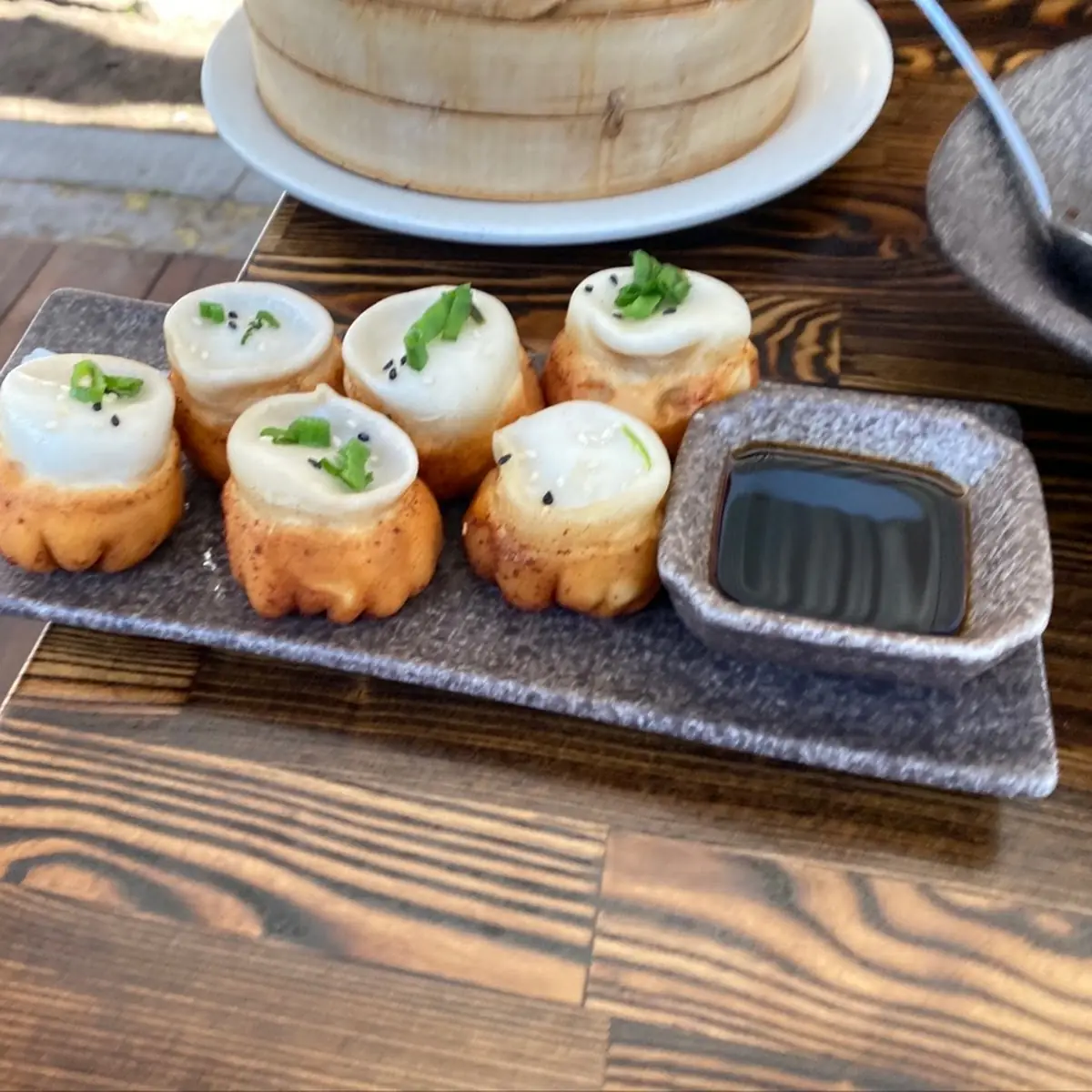 Pan Fried Dumplings