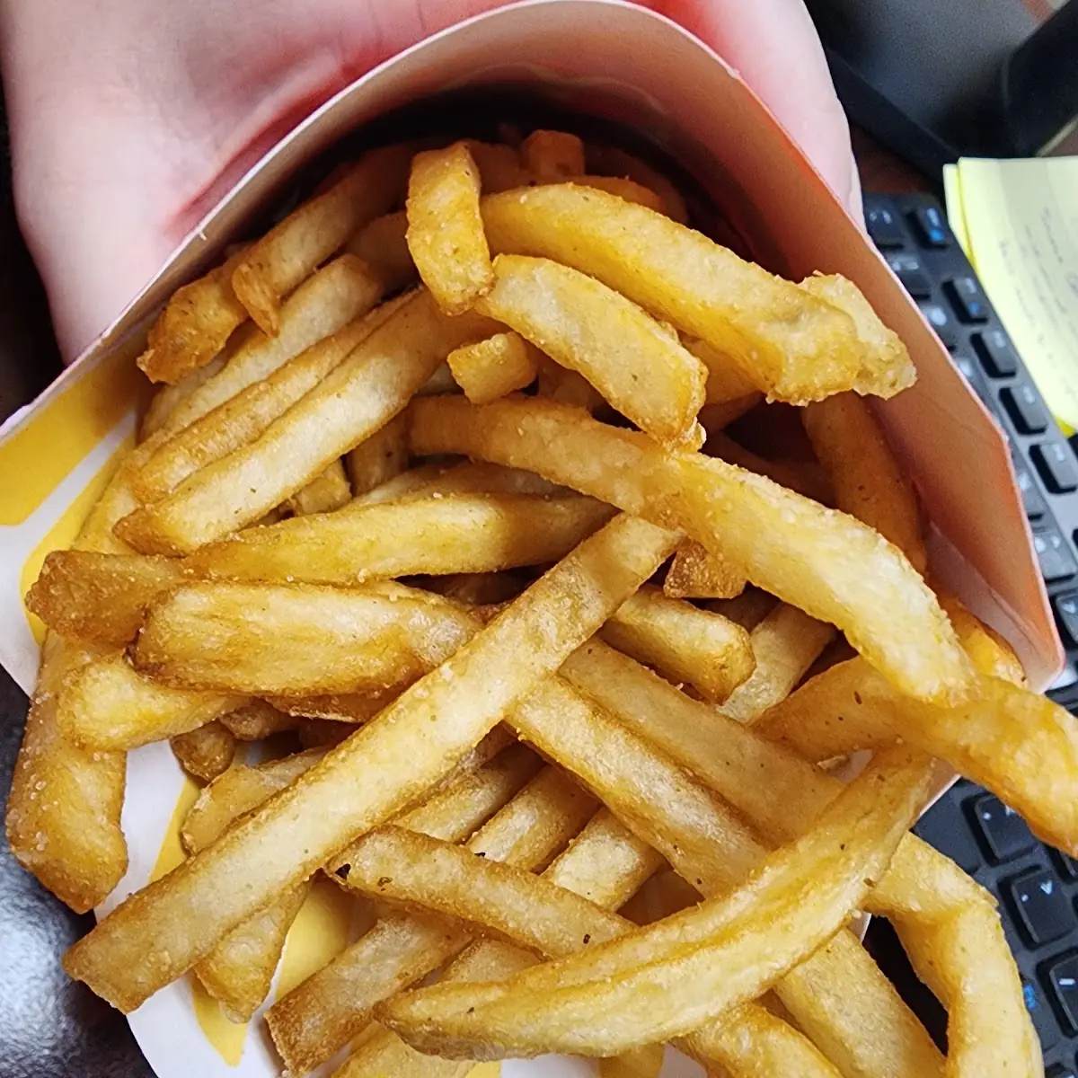 World Famous Fries