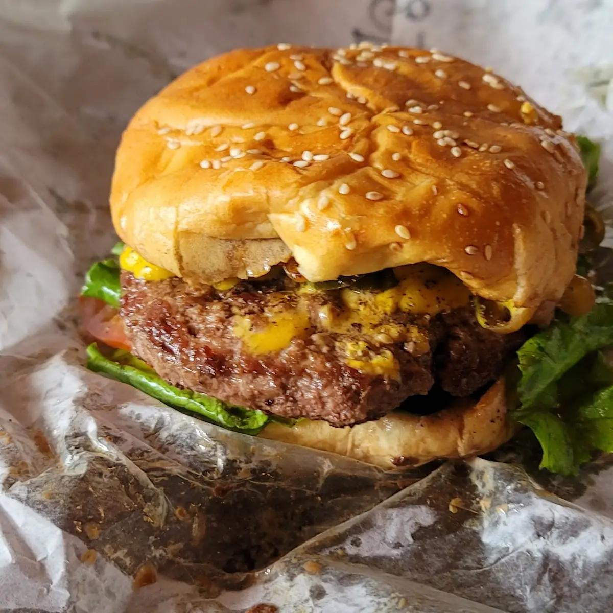 Cheeseburger with Grilled Onions