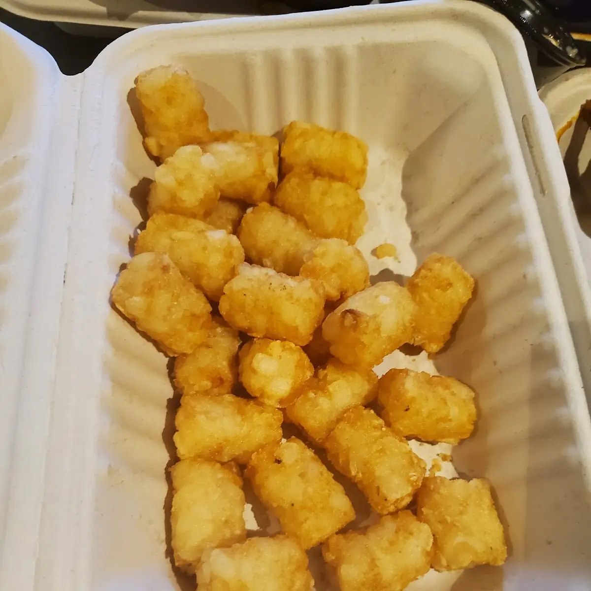 Tater Tots, The Loose Goose RestoPub & Lounge