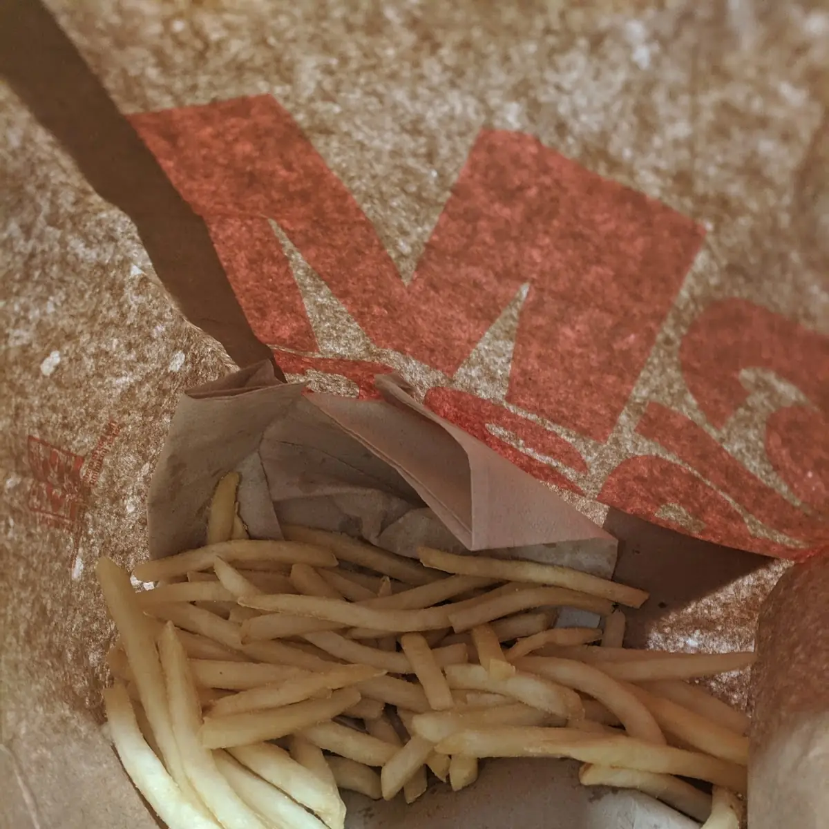 World Famous Fries