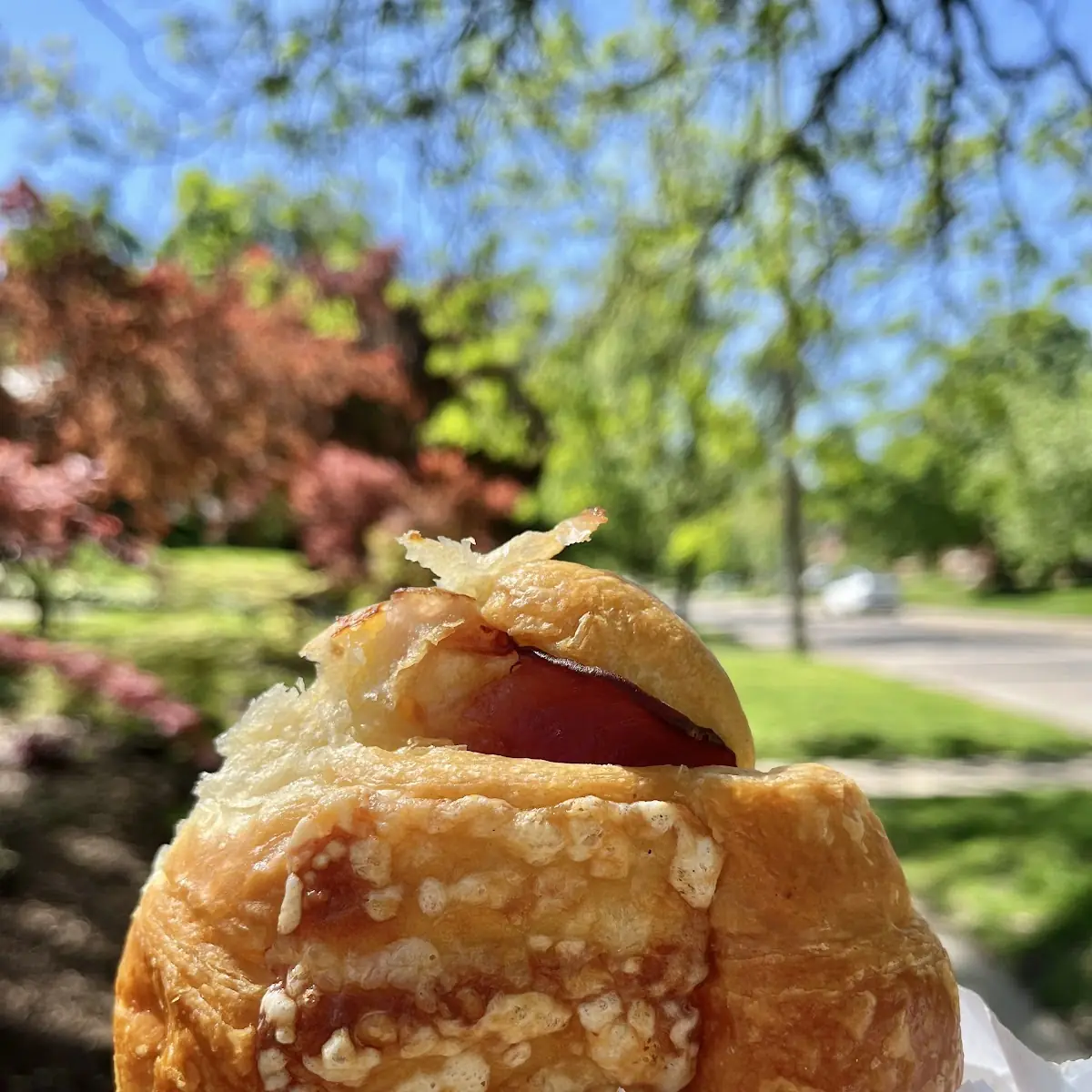 Ham & Cheese Croissant