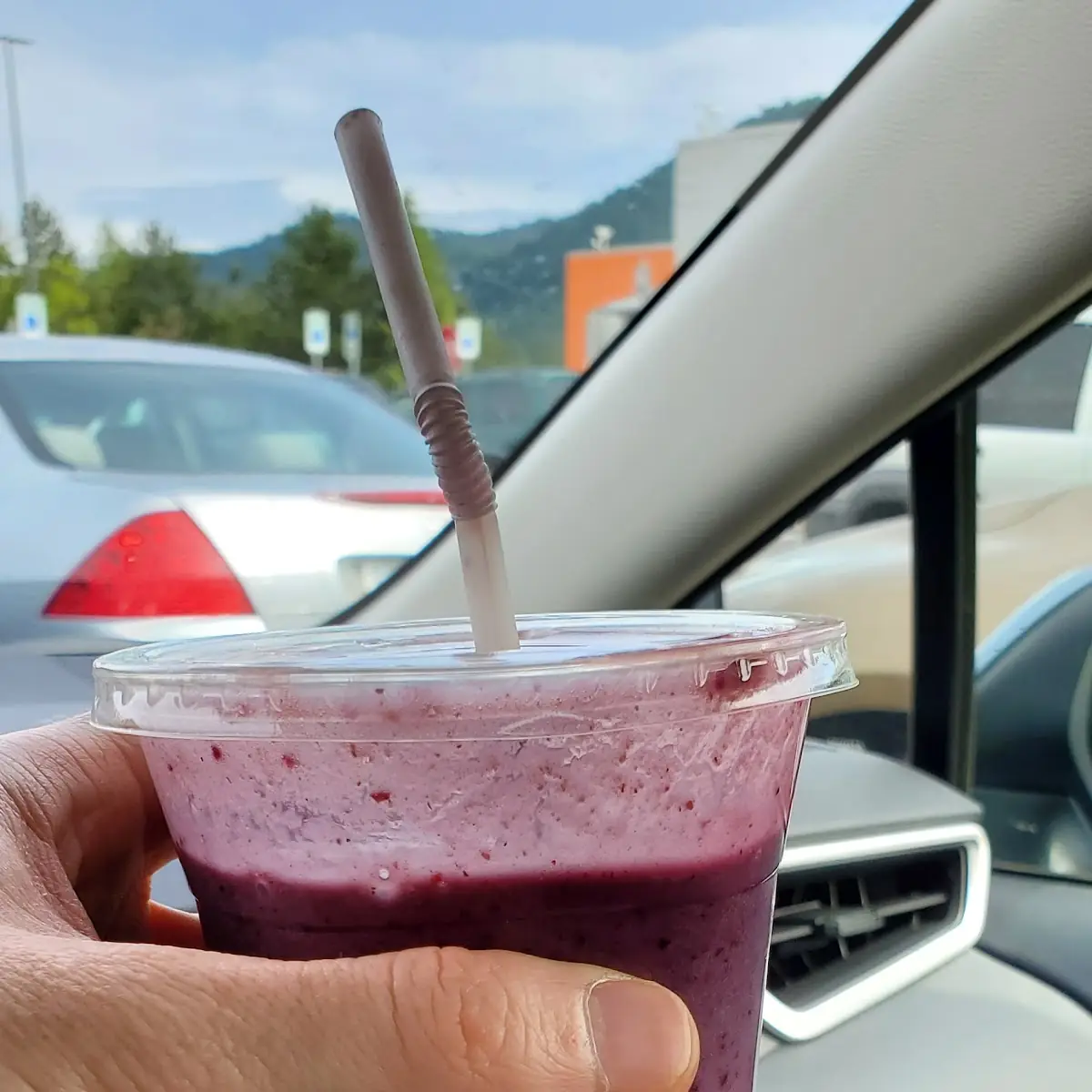 Mixed Berry Smoothie
