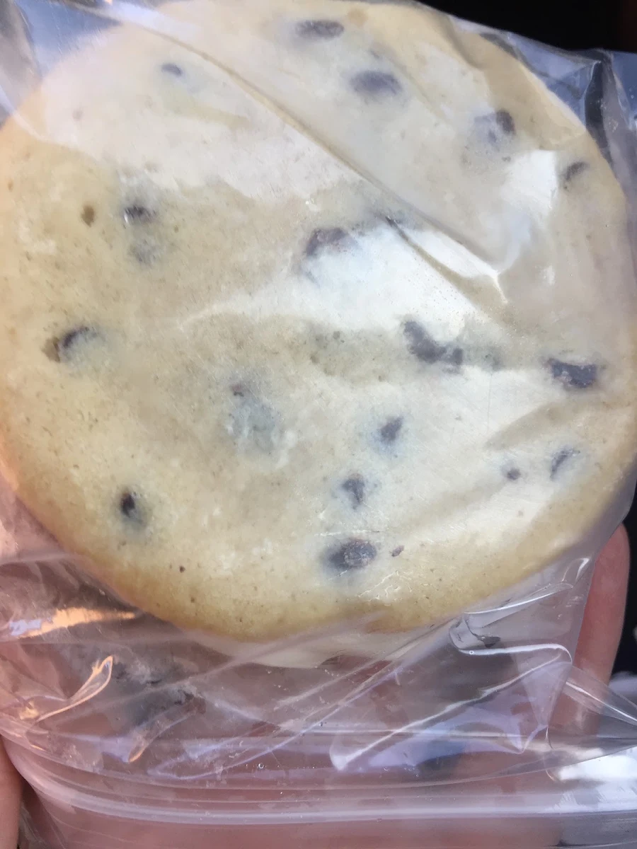 Chocolate Chip Ice Cream Sandwich