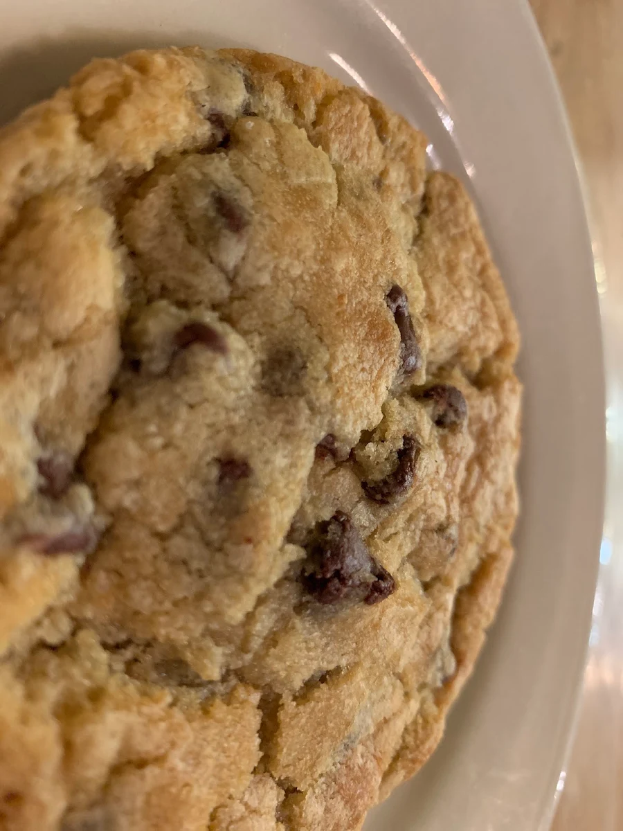 Chocolate Chip Cookie