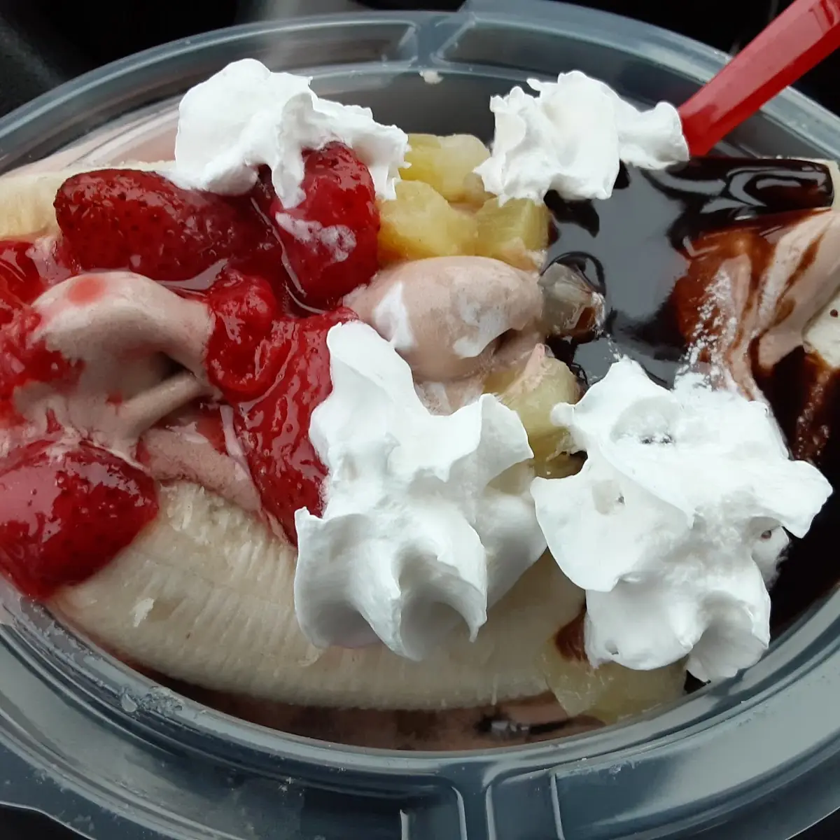 Chocolate Ice Cream Banana Split
