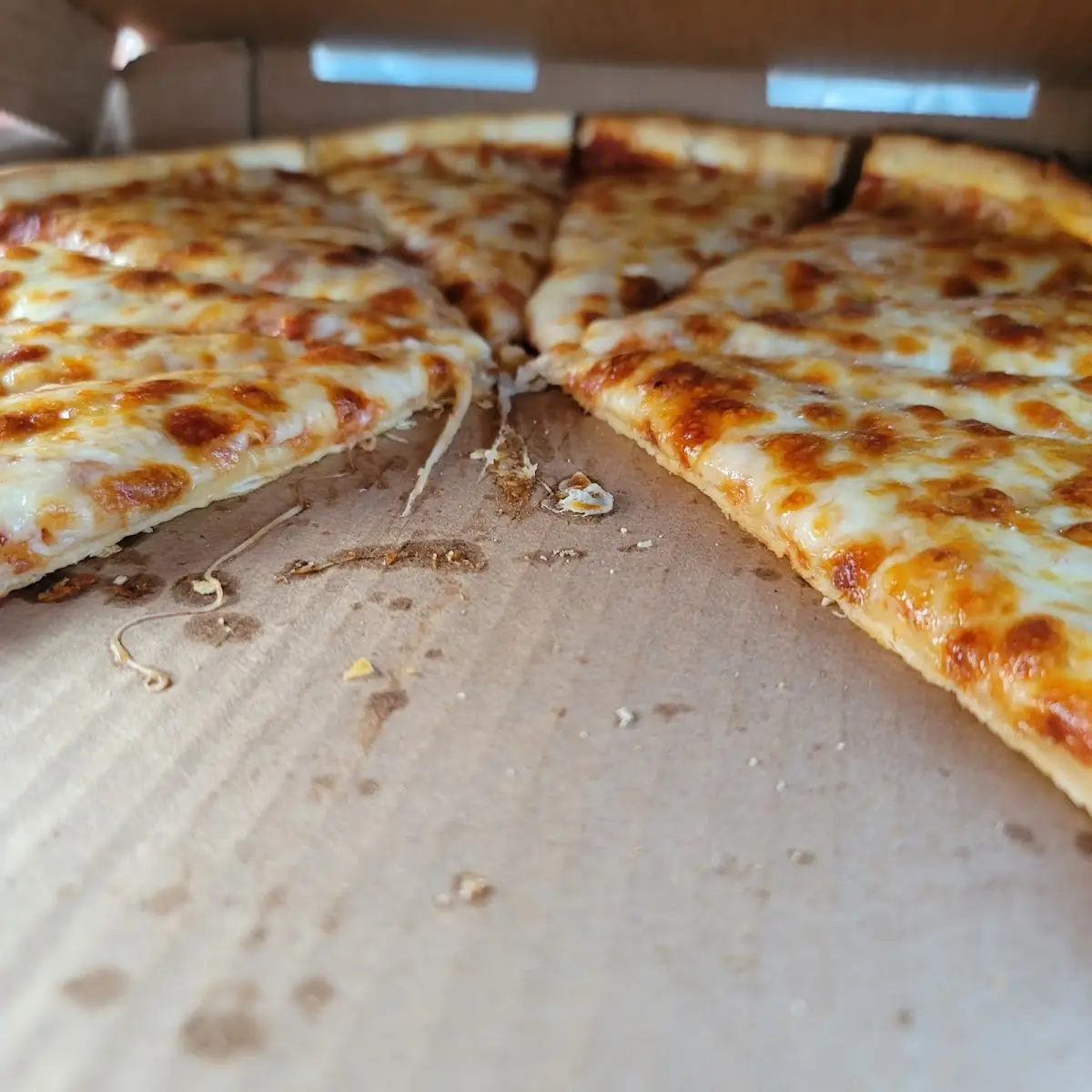 Cheese Pizza
