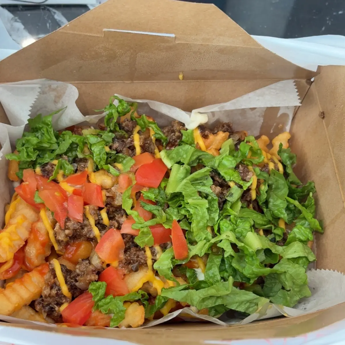 Carne Asada Fries
