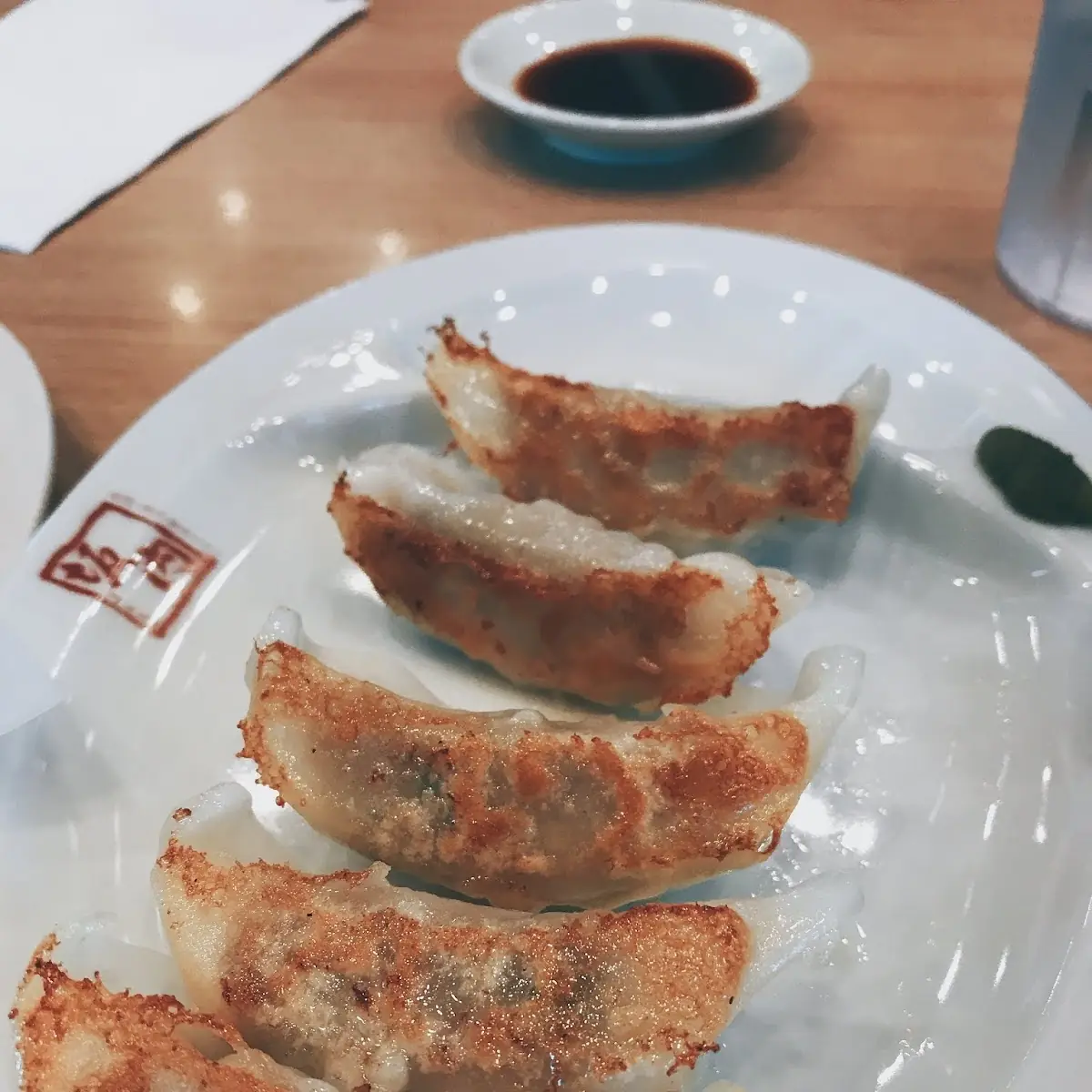 Pan Fried Gyoza