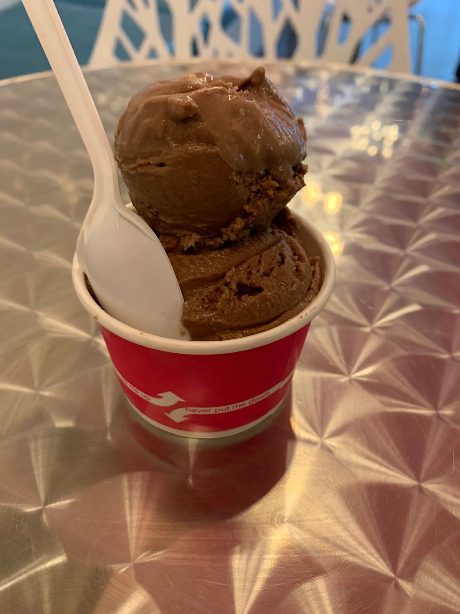 Chocolate Ice Cream