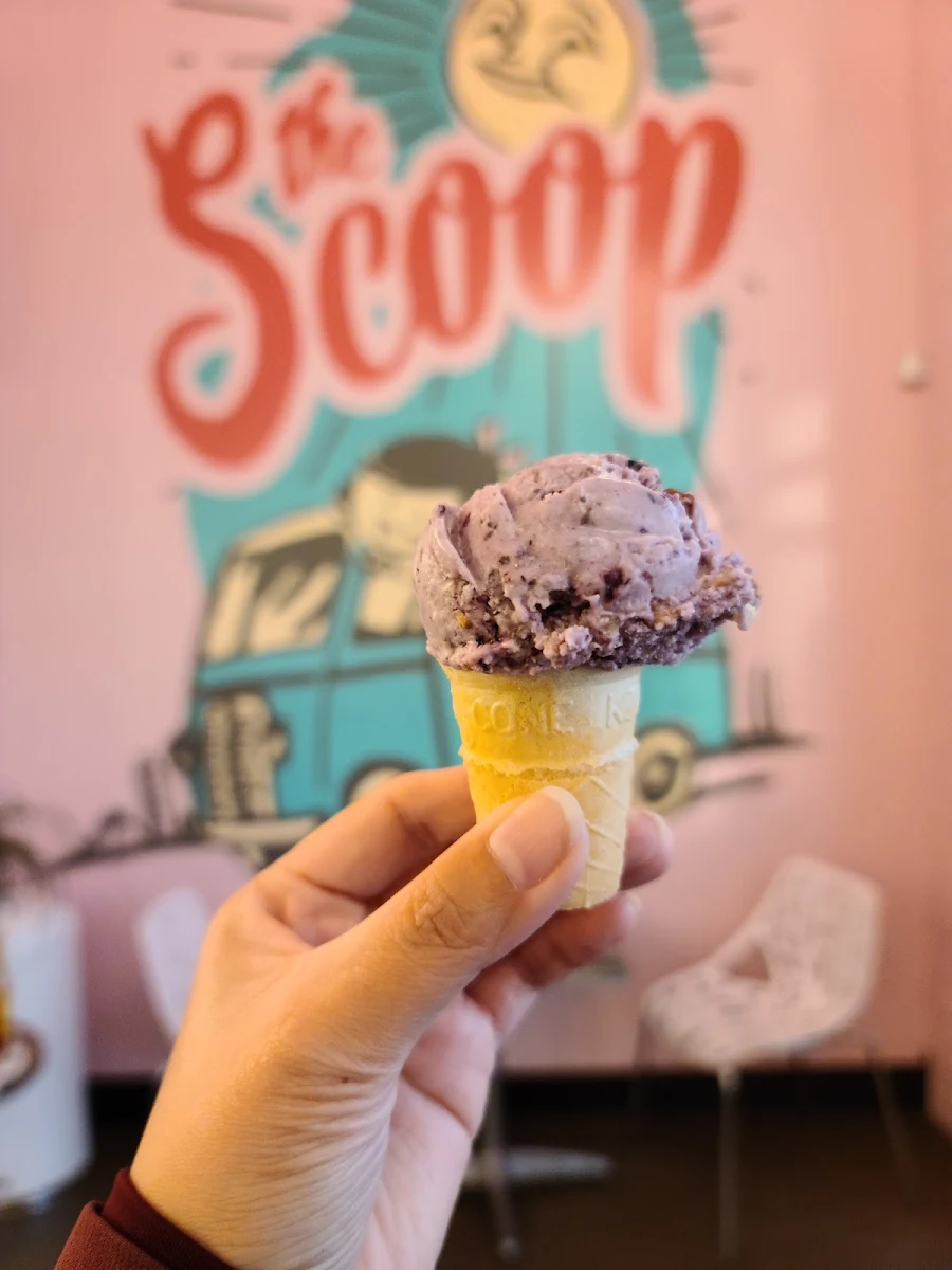 Scoop Crafter Sweet Cream