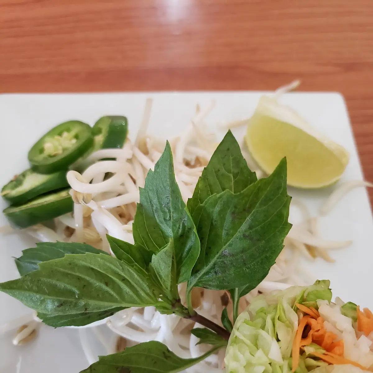 Fresh Spring Rolls