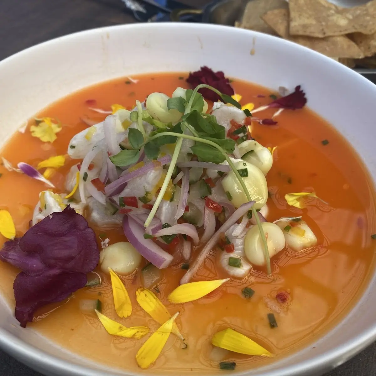 Tom Kha Ceviche