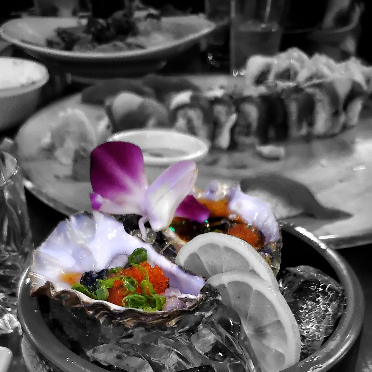 Oysters