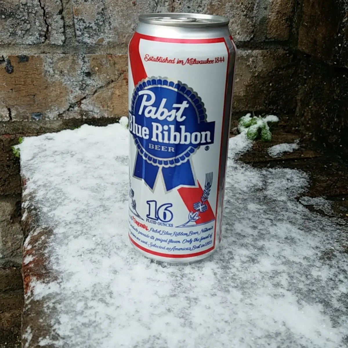 Pabst Blue Ribbon