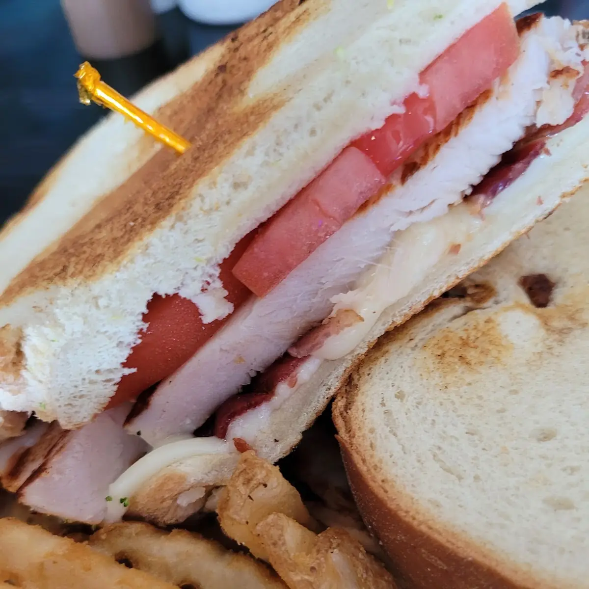 Roasted Turkey Melt