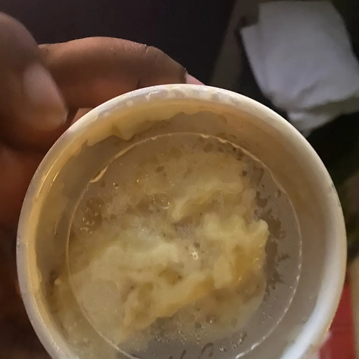Onion Soup