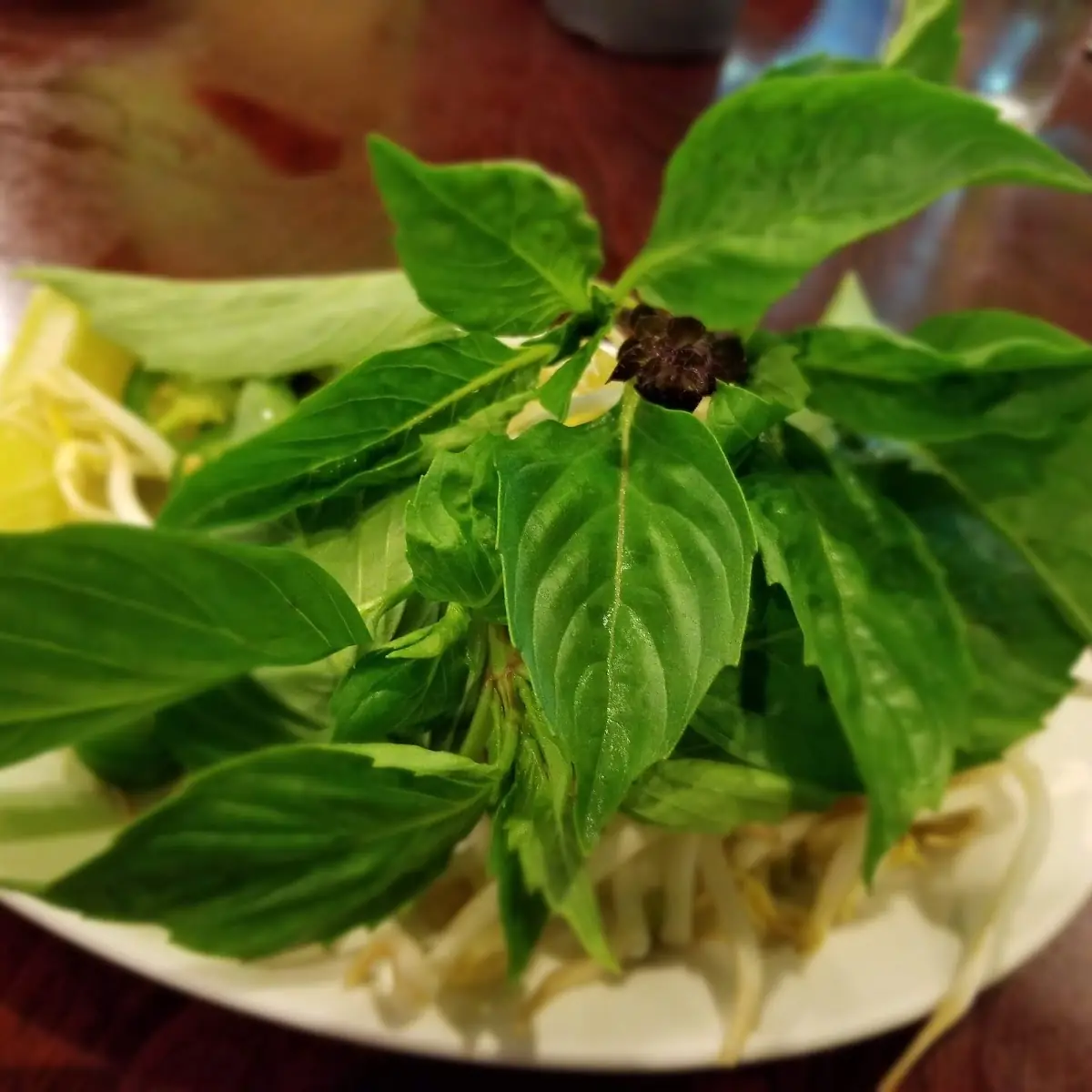 Thai Basil