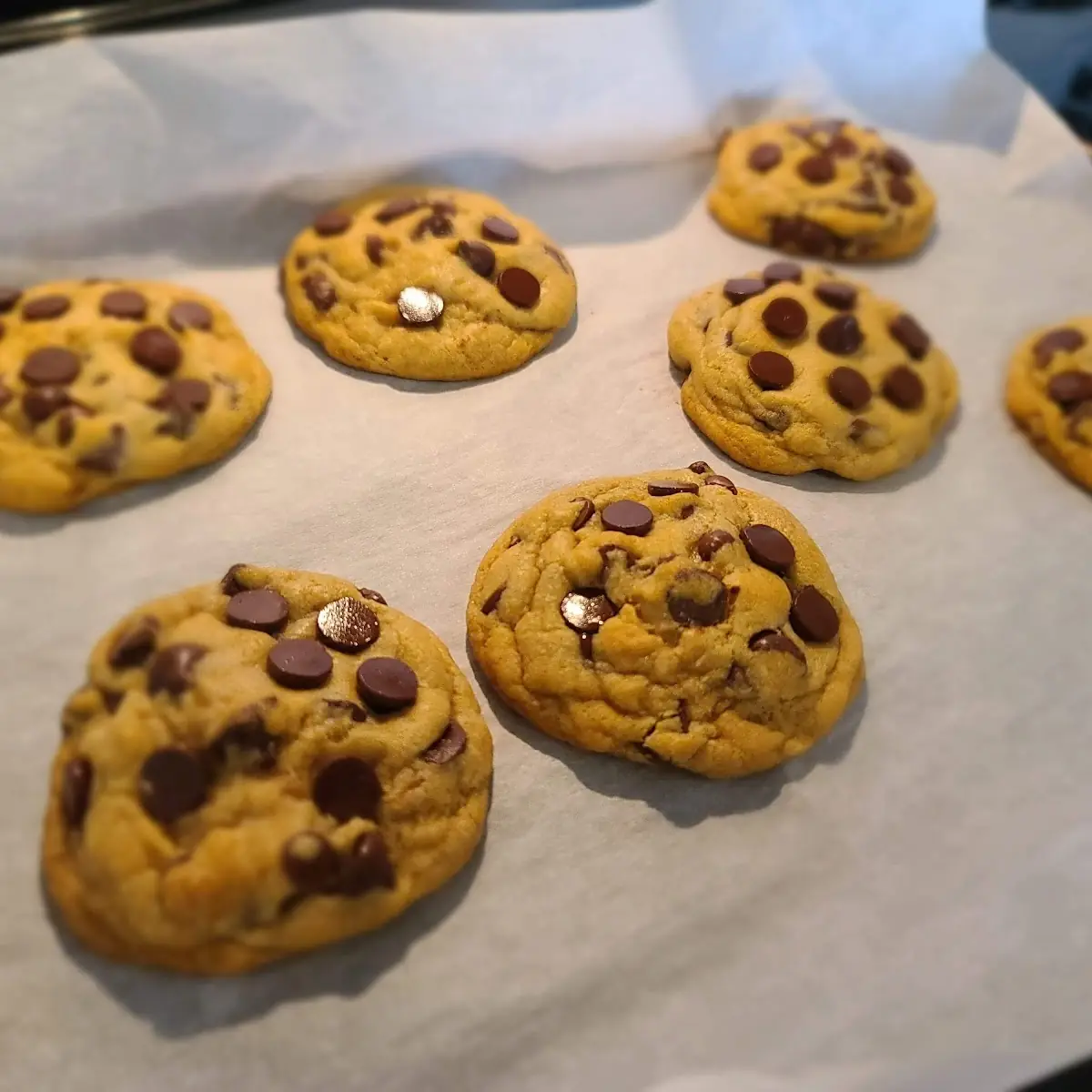 Double Chocolate Chip Cookies