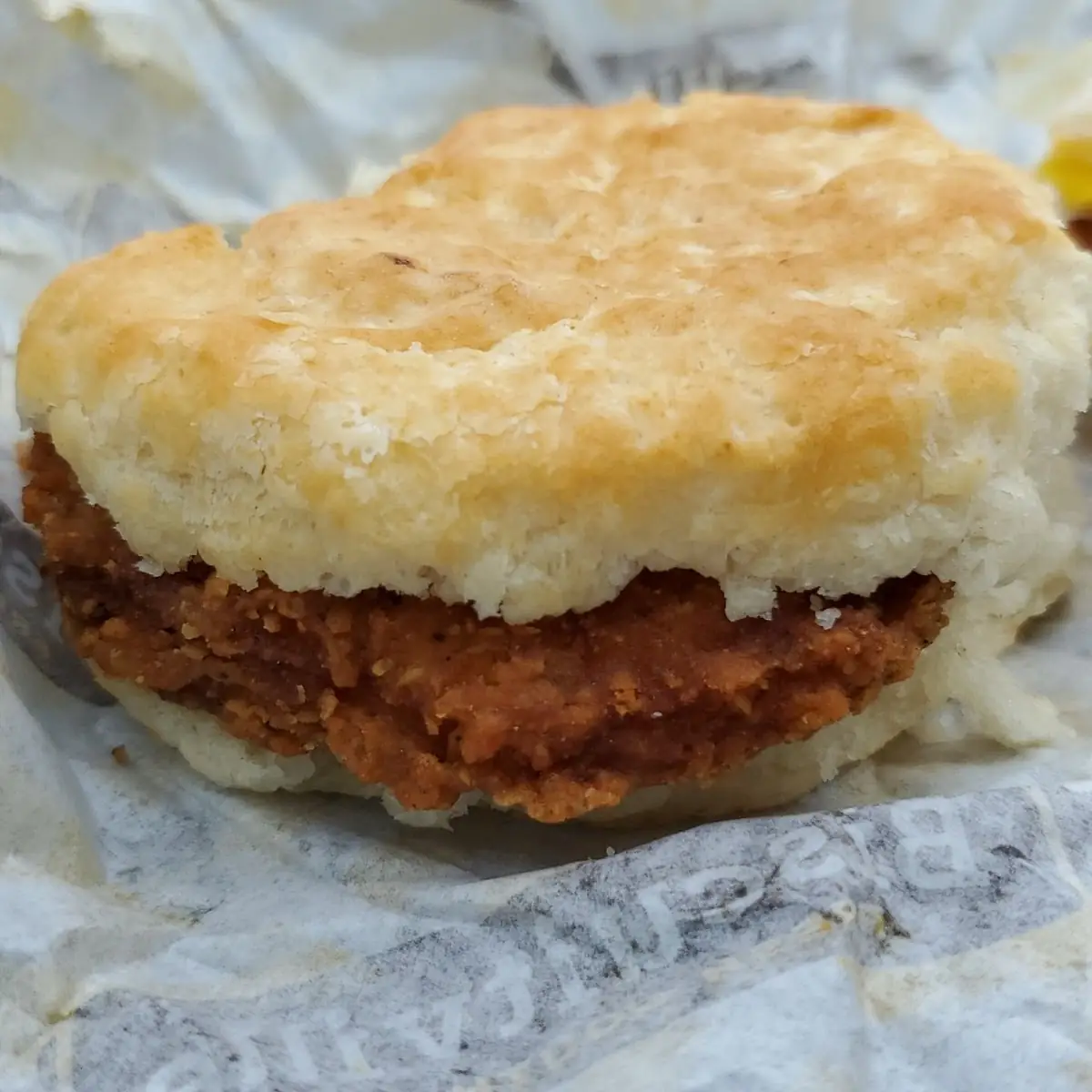 Pork Chop Biscuit