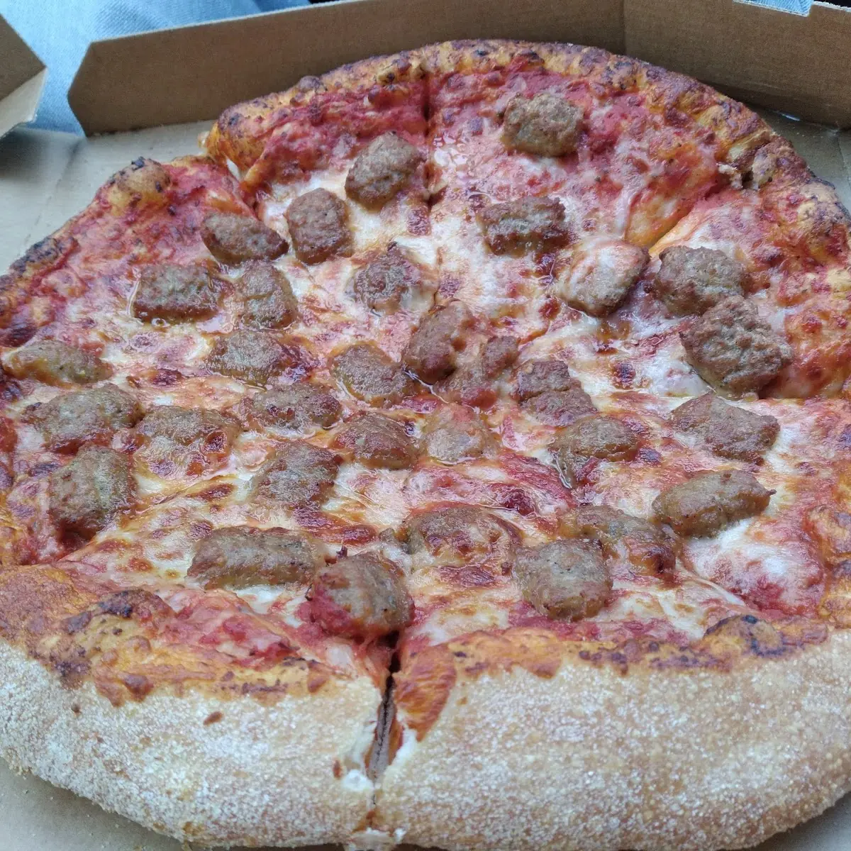 Double Italian Sausage Pizza